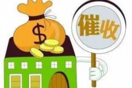 高唐讨债公司电话号码查询：专业高效解决债务难题